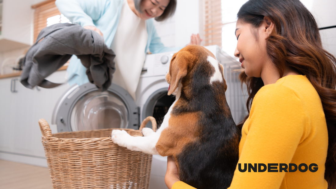 Deux femme avec un chien devant une machine à laver