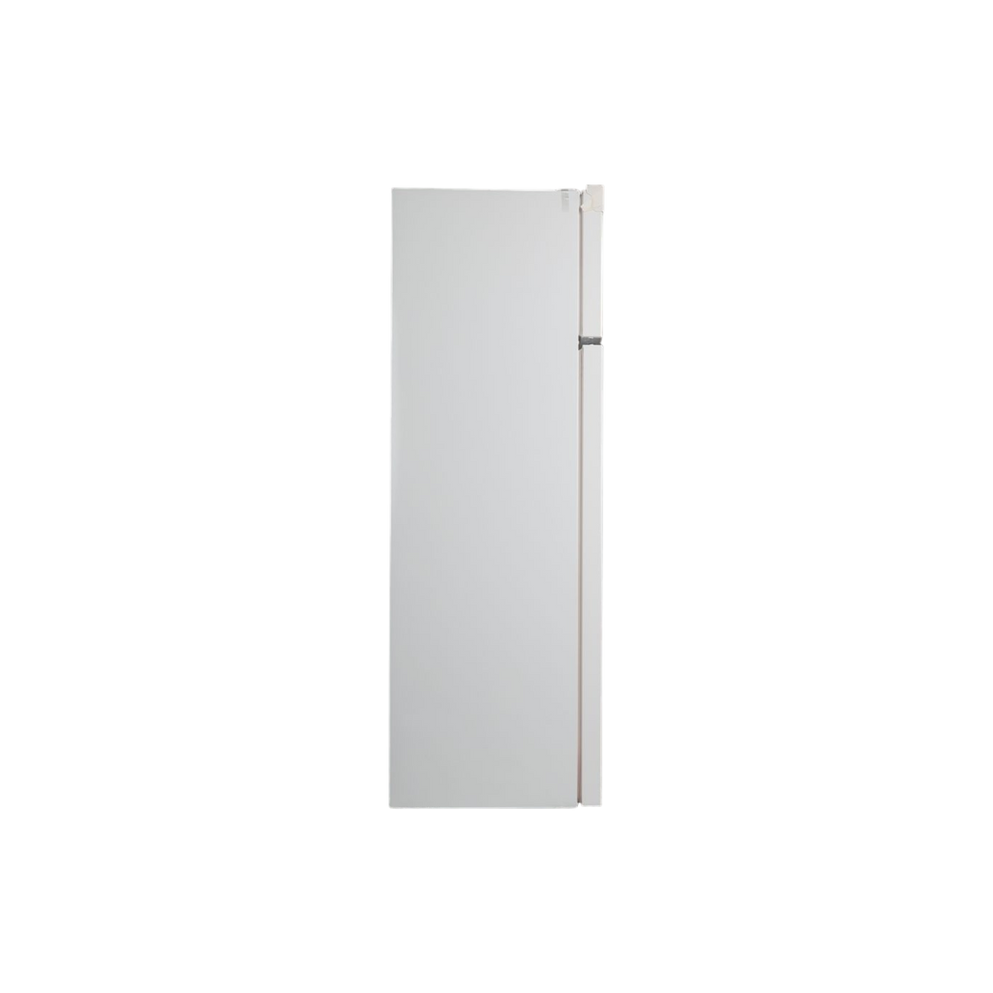 Réfrigérateur Avec Congélateur 244 L Reconditionné FAURE FTAN28FW1 : vue de l'intérieur