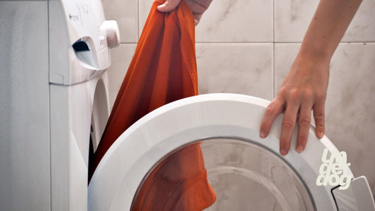 Une personne place des vêtements dans le sèche-linge.