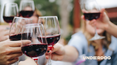 Un groupe de personnes trinque joyeusement, verre de vin à la main