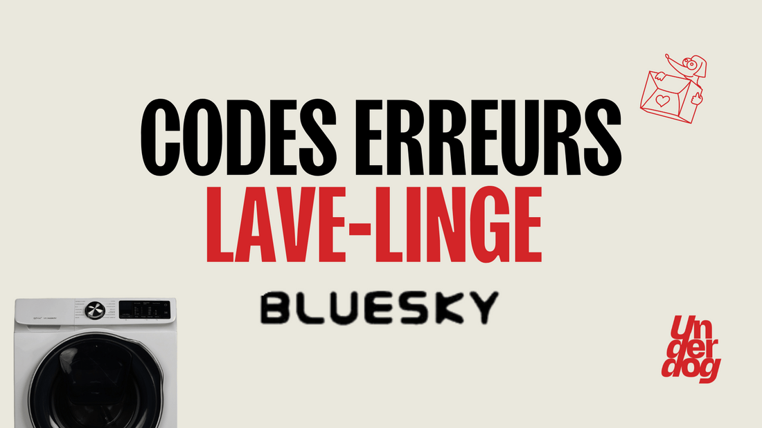 Logo de la marque de lave-linge Bluesky