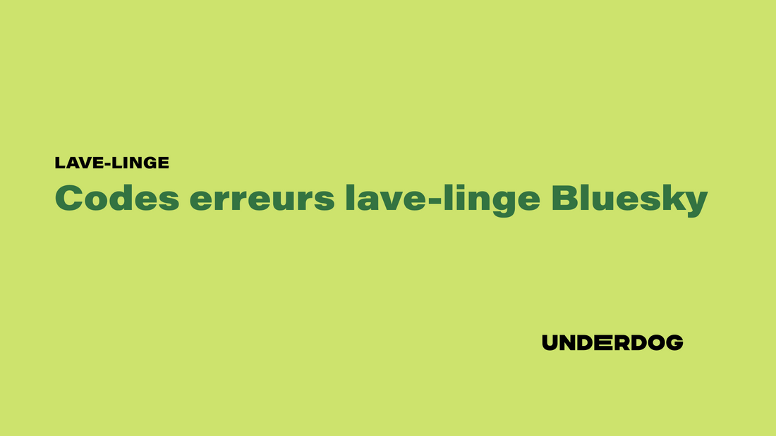Logo de la marque de lave-linge Bluesky