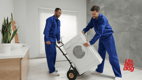 Deux techniciens reprennent un lave-linge