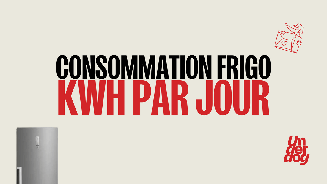 Consommation frigo kWh par jour