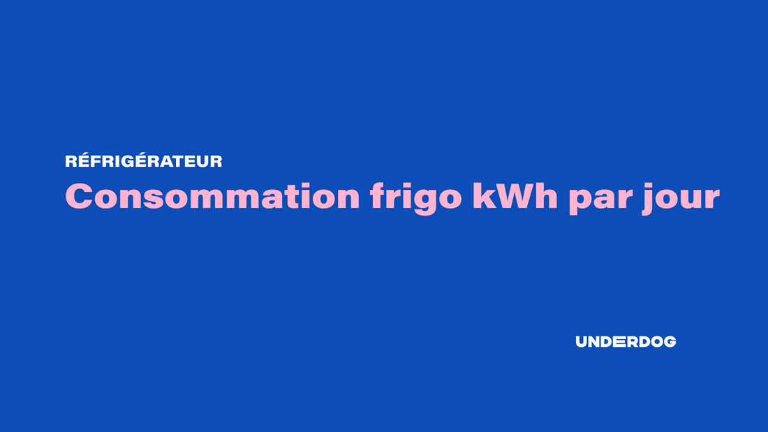Consommation frigo kWh par jour