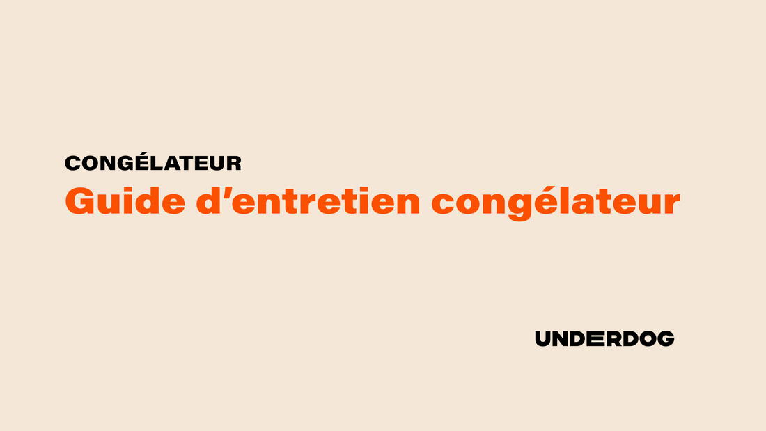 Guide d'entretien congélateur