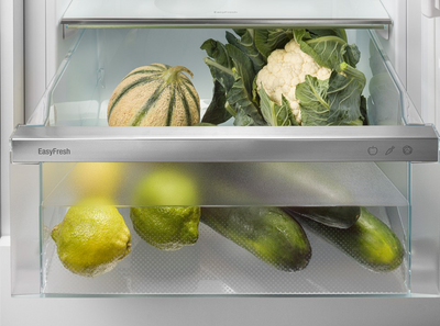 Réfrigérateur encastrable LIEBHERR IRe1780-PB