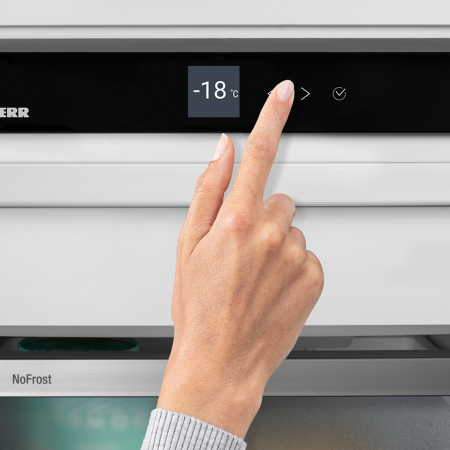 Congélateur Armoire Reconditionné LIEBHERR FNe5006-22