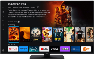 Téléviseur LED PANASONIC TB55W60AEZ 139 cm (55")