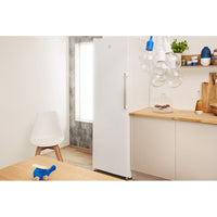 Congélateur armoire INDESIT UI6 F1T W