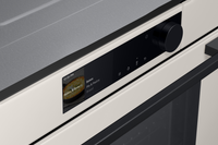 Four chaleur tournante SAMSUNG NV7B6695ACE