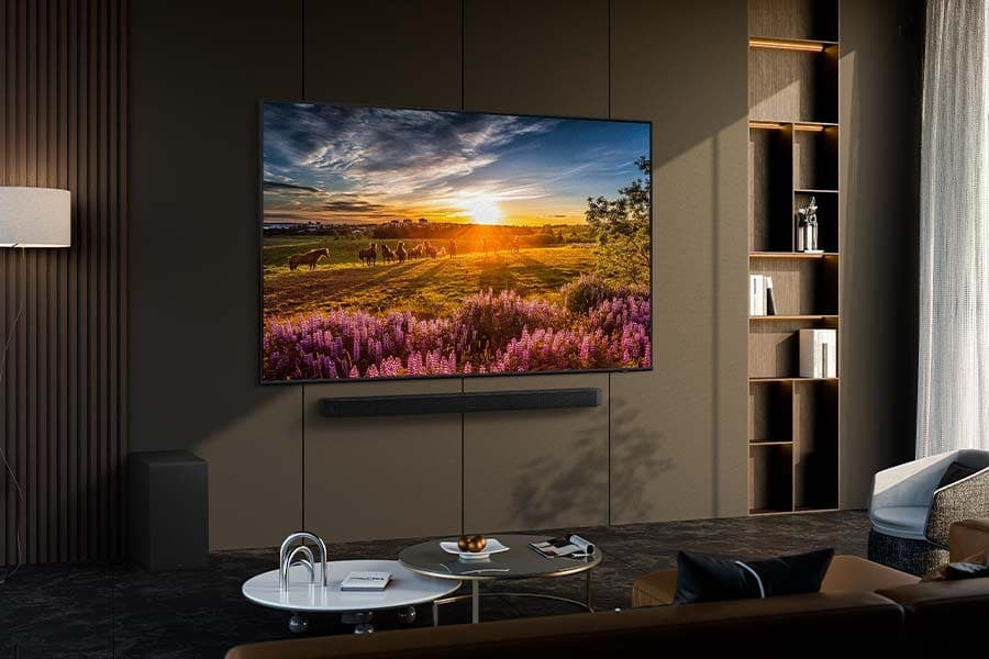 Téléviseur LED SAMSUNG TQ65Q60DAU 164 cm (65")
