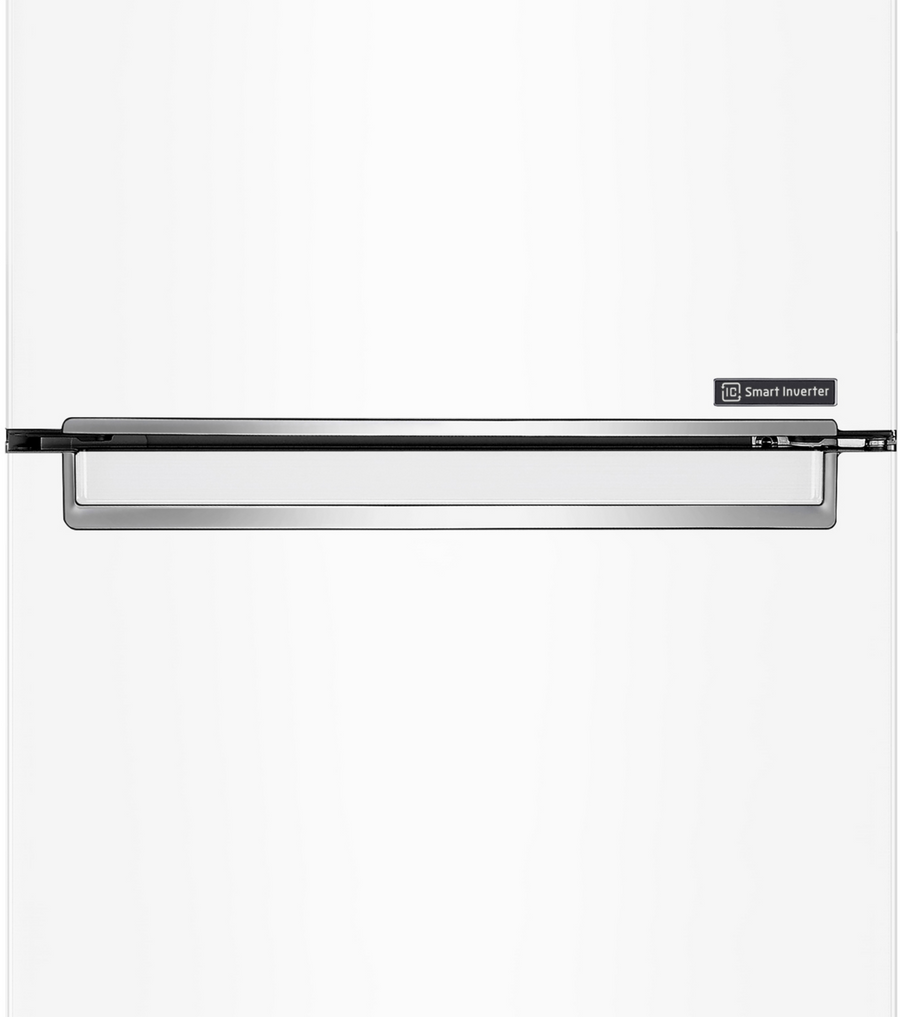 Réfrigérateur avec congélateur LG GBP31SWLZN