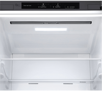 Réfrigérateur avec congélateur LG GBP30DSLZN