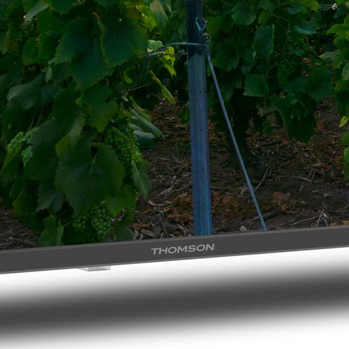 Téléviseur LED THOMSON 43QA2S13