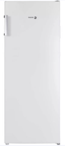 Congélateur armoire FAGOR FNF6166EW