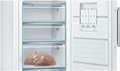 Congélateur Armoire 366 Litres Reconditionné BOSCH GSN58AWEV
