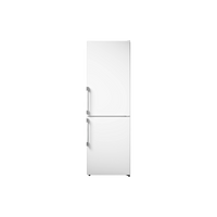 Réfrigérateur Avec Congélateur 326 L Reconditionné ASKO RFN23841W : vue de face
