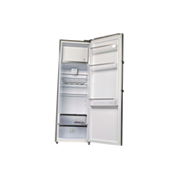 Réfrigérateur Avec Congélateur 330 L Reconditionné SCHNEIDER SCODF335X : vue de l'intérieur