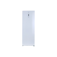 Congélateur Armoire 238 L Reconditionné ESSENTIEL B ECV175-60MIB1 : vue de face