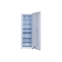Congélateur Armoire 238 L Reconditionné ESSENTIEL B ECV175-60MIB1 : vue de l'intérieur