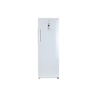 Congélateur Armoire 238 L Reconditionné ESSENTIEL B ECV175-60MIB1 : vue de face
