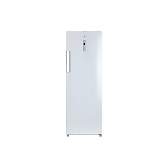 Congélateur Armoire 238 L Reconditionné ESSENTIEL B ECV175-60MIB1 : vue de face
