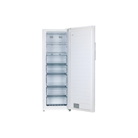 Congélateur Armoire 238 L Reconditionné ESSENTIEL B ECV175-60MIB1 : vue de l'intérieur