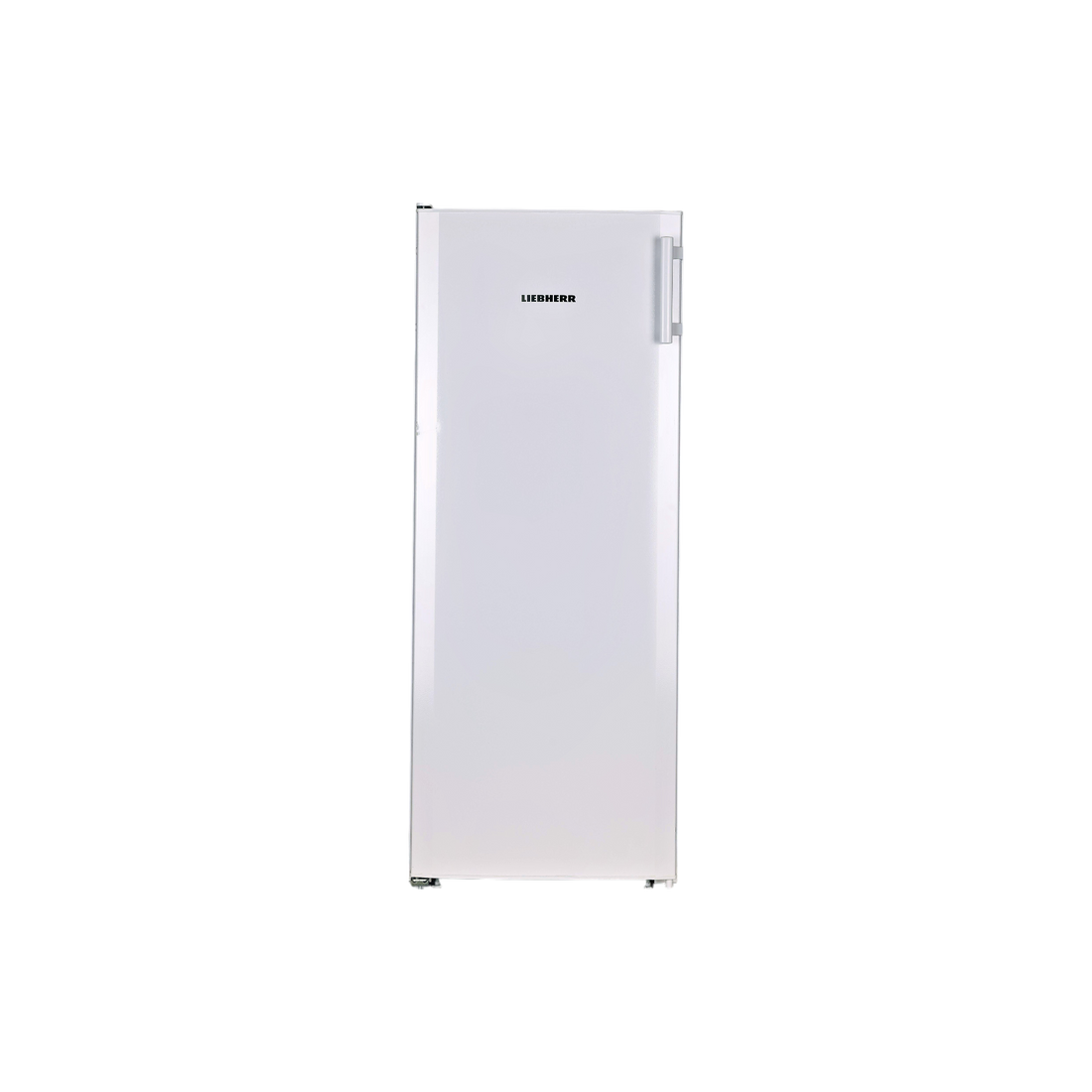 Réfrigérateur Avec Congélateur 251 L Reconditionné LIEBHERR GKPE320-26 : vue de face