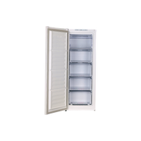Congélateur Armoire 177 L Reconditionné BEKO RFNM200E40WN : vue de l'intérieur