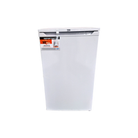 Réfrigérateur Compact 85 L Reconditionné BEKO TS190340N : vue de face