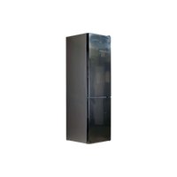 Réfrigérateur Avec Congélateur 368 L Reconditionné WHIRLPOOL WTNF91IX : vue du côté droit