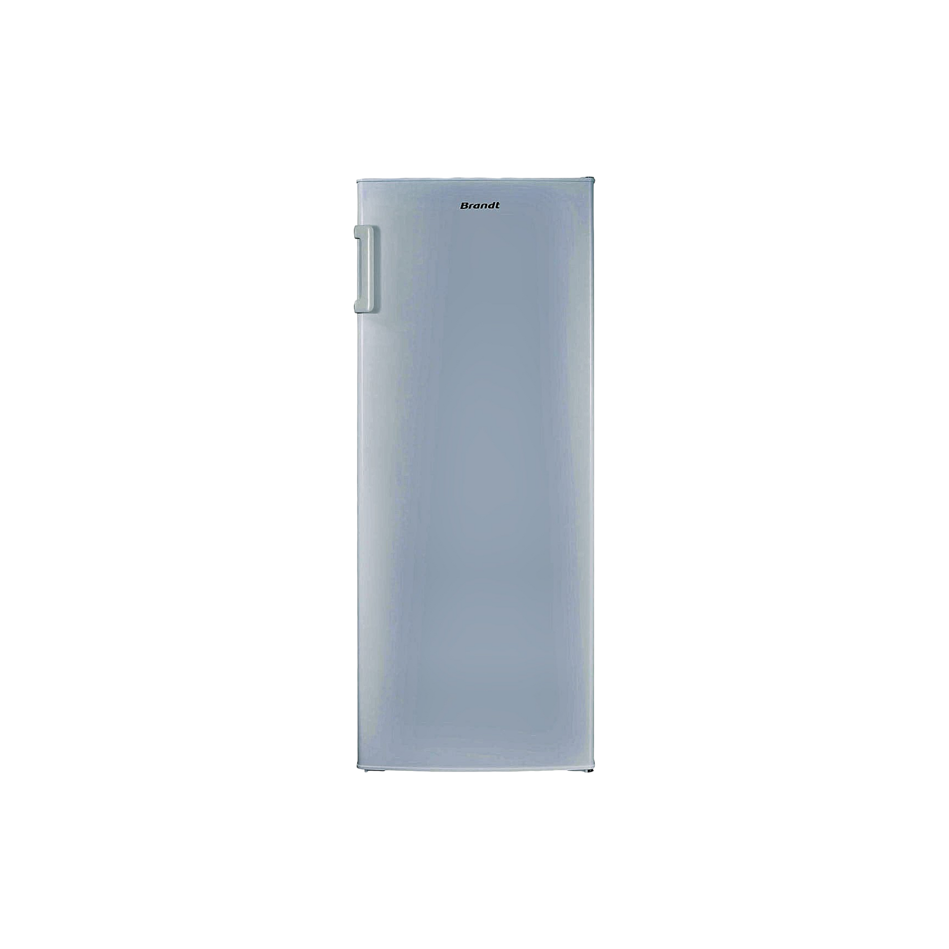 Réfrigérateur Une Porte 242 L Reconditionné BRANDT BFL4250EW : vue de face
