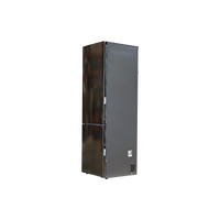 Réfrigérateur Avec Congélateur 384 L Reconditionné LG GBP62PZNCC1 : vue du côté gauche