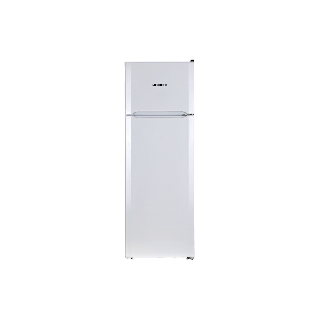 Réfrigérateur Avec Congélateur 271 L Reconditionné LIEBHERR CTP251-21 : vue de face