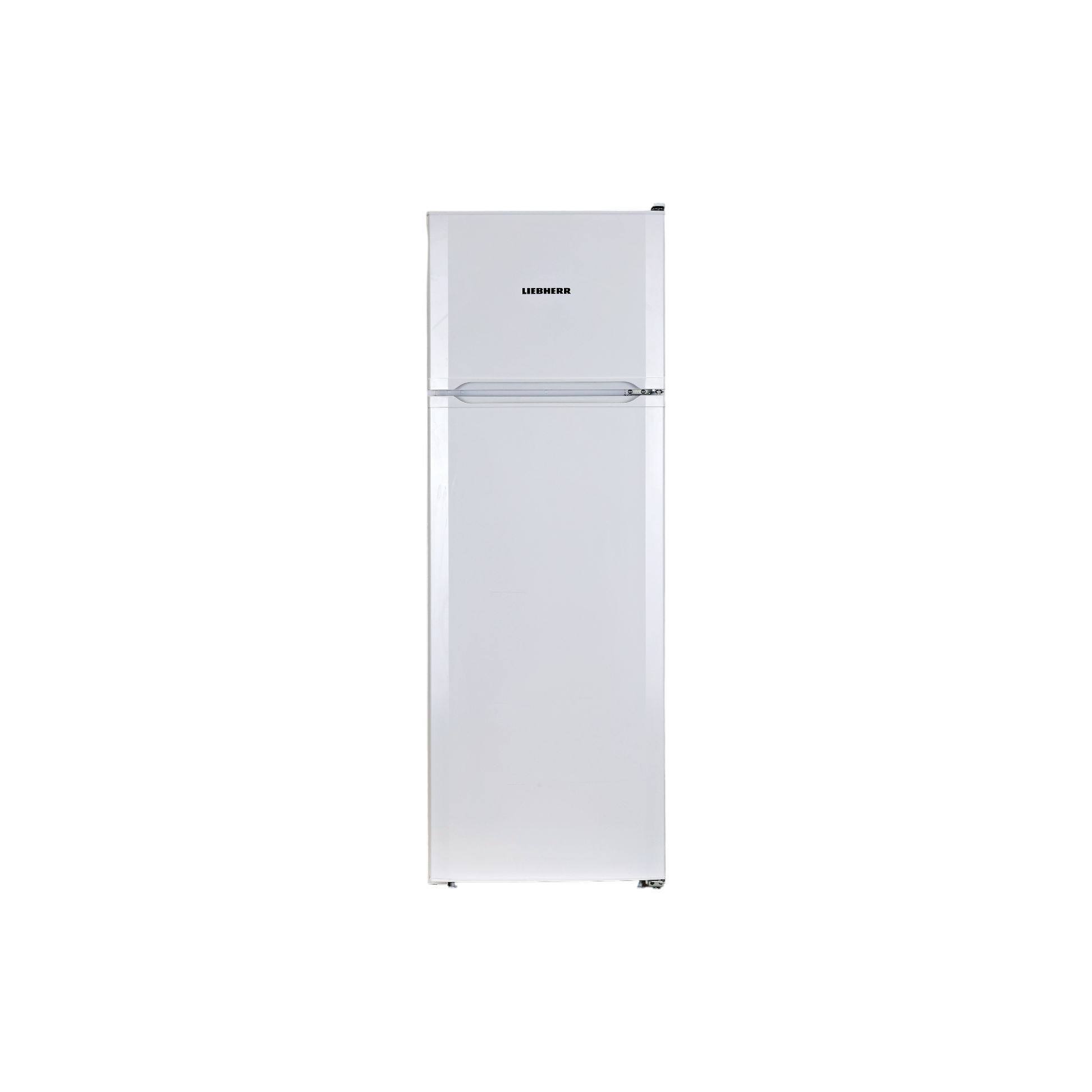 Réfrigérateur Avec Congélateur 271 L Reconditionné LIEBHERR CTP251-21 : vue de face