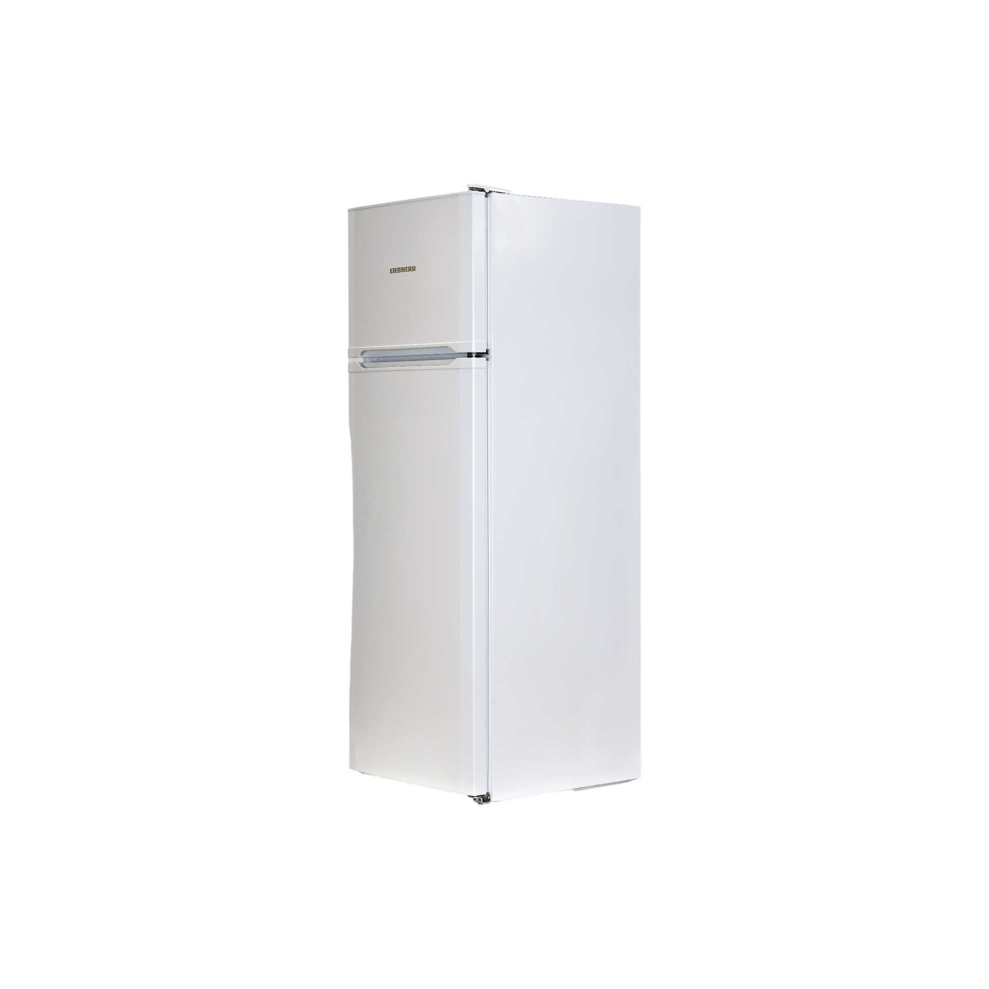 Réfrigérateur Avec Congélateur 271 L Reconditionné LIEBHERR CTP251-21 : vue du côté gauche