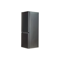 Réfrigérateur Avec Congélateur 301 L Reconditionné BEKO B5RCNA346HG : vue du côté gauche