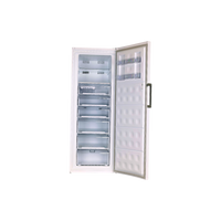 Congélateur Armoire 404 L Reconditionné BEKO RFNE448E35W : vue de l'intérieur