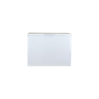 Congélateur Coffre 315 L Reconditionné THOMSON TCH316E : vue de face
