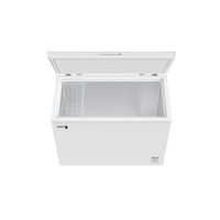 Congélateur Coffre 254 L Reconditionné FAGOR FCC260EE : vue de l'intérieur