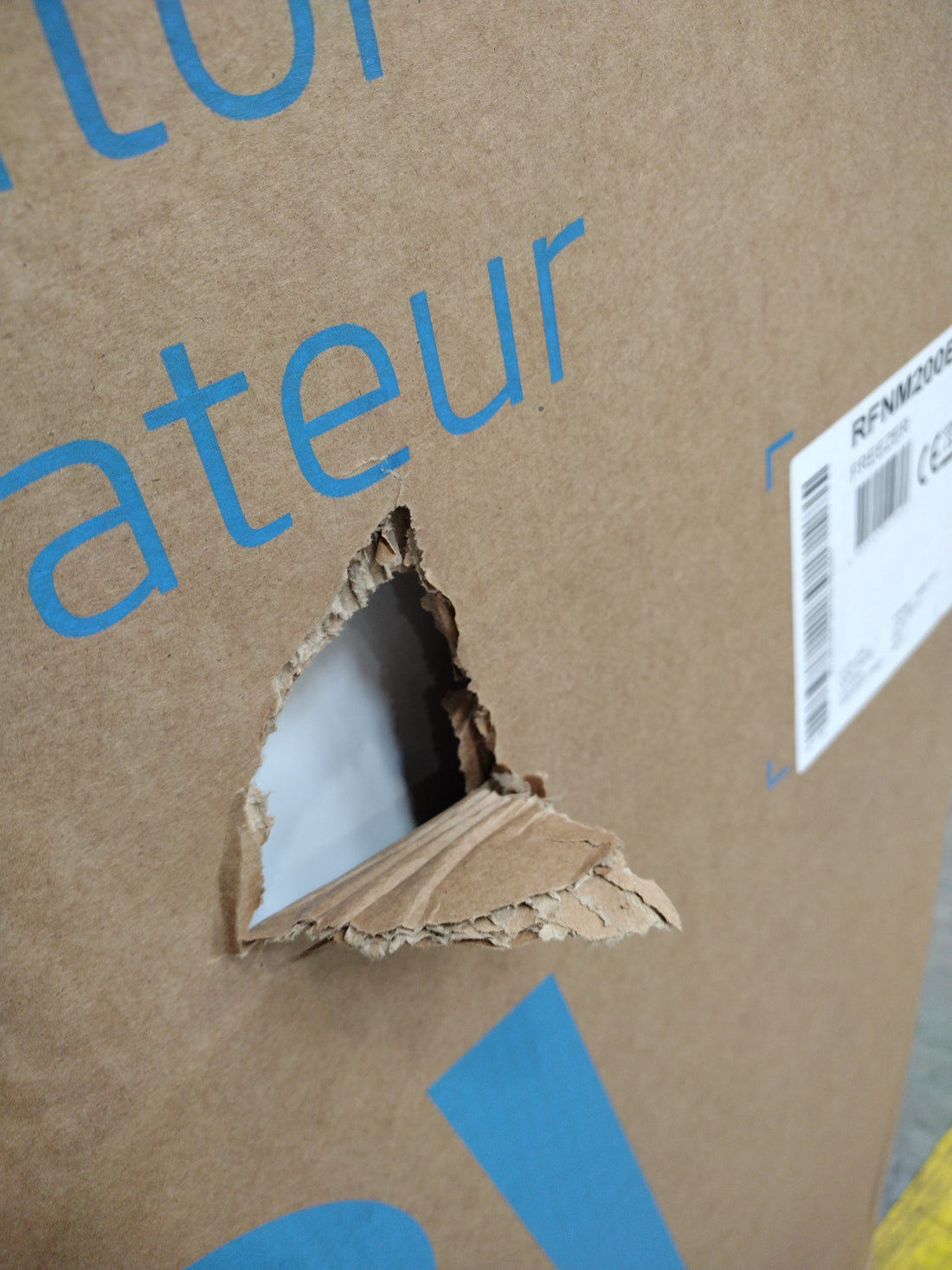 Congélateur Armoire 177 L Reconditionné BEKO RFNM200E40WN : détails