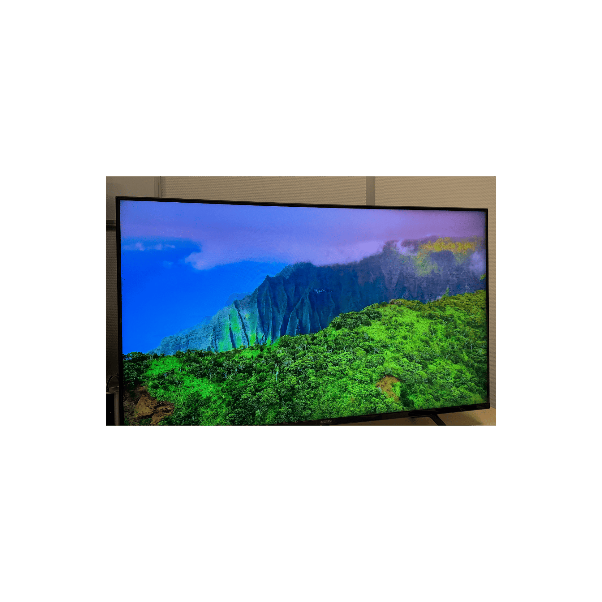 Téléviseur LED 50 pouces Reconditionné SONY XR50X94S 126 cm (50")