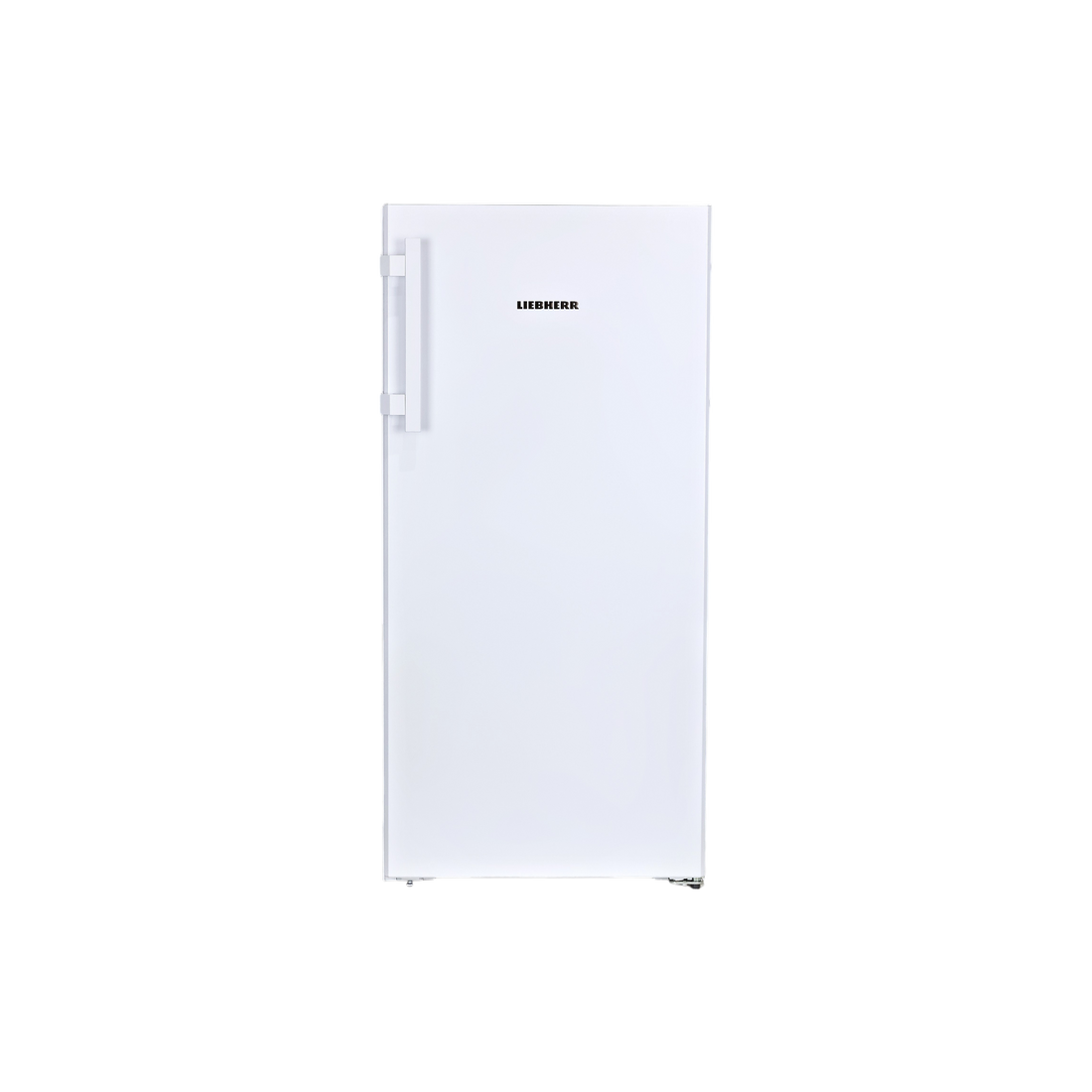 Réfrigérateur Une Porte 161 L Reconditionné LIEBHERR RBA 4250-20 : vue de face