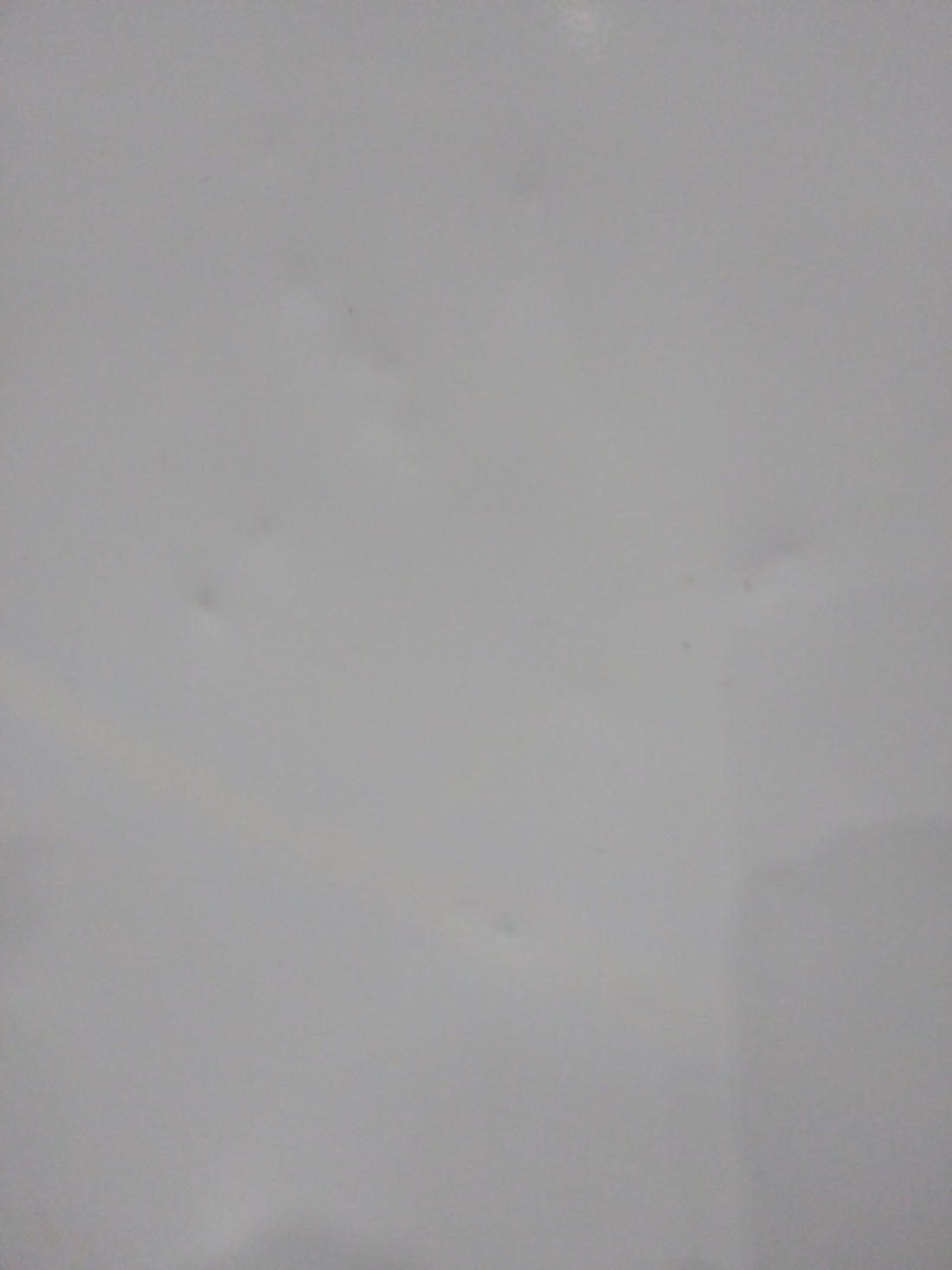 Congélateur Armoire 365 L Reconditionné BOSCH GSN58AWEV : détails