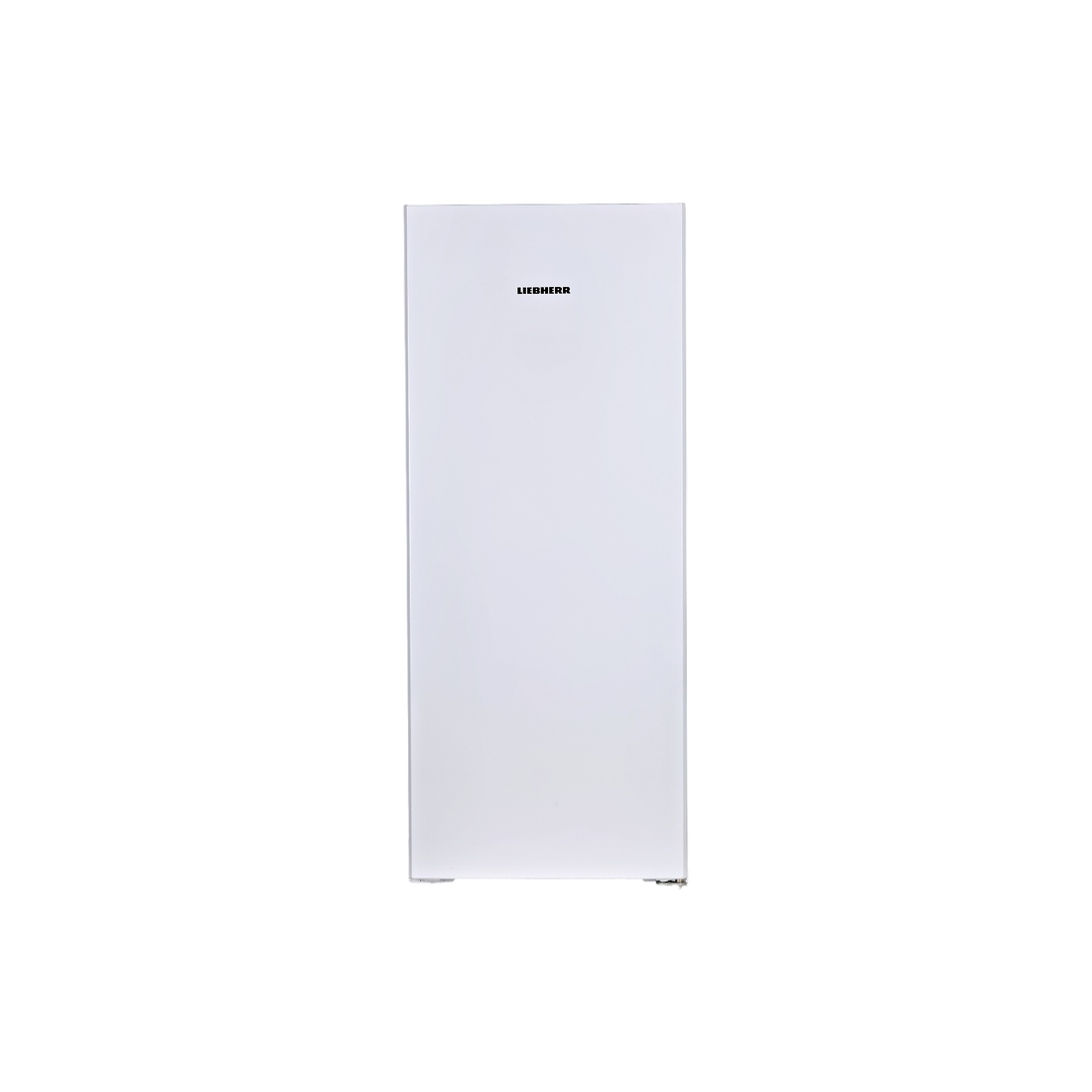 Réfrigérateur Une Porte 298 L Reconditionné LIEBHERR KF46Z00-20 : vue de face