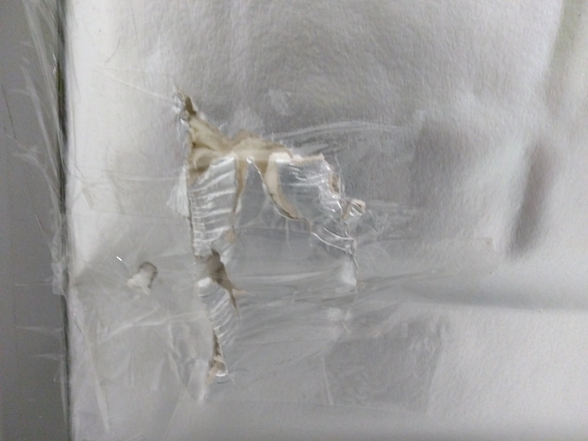 Réfrigérateur Avec Congélateur 355 L Reconditionné BEKO B5RCNE405HXB : détails