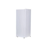 Congélateur Armoire 172 L Reconditionné PROLINE UFZ169 : vue du côté droit