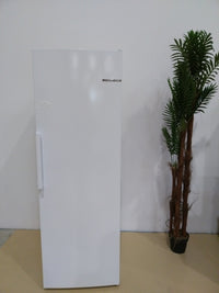 Congélateur Armoire Reconditionné BOSCH GSN33FWEV