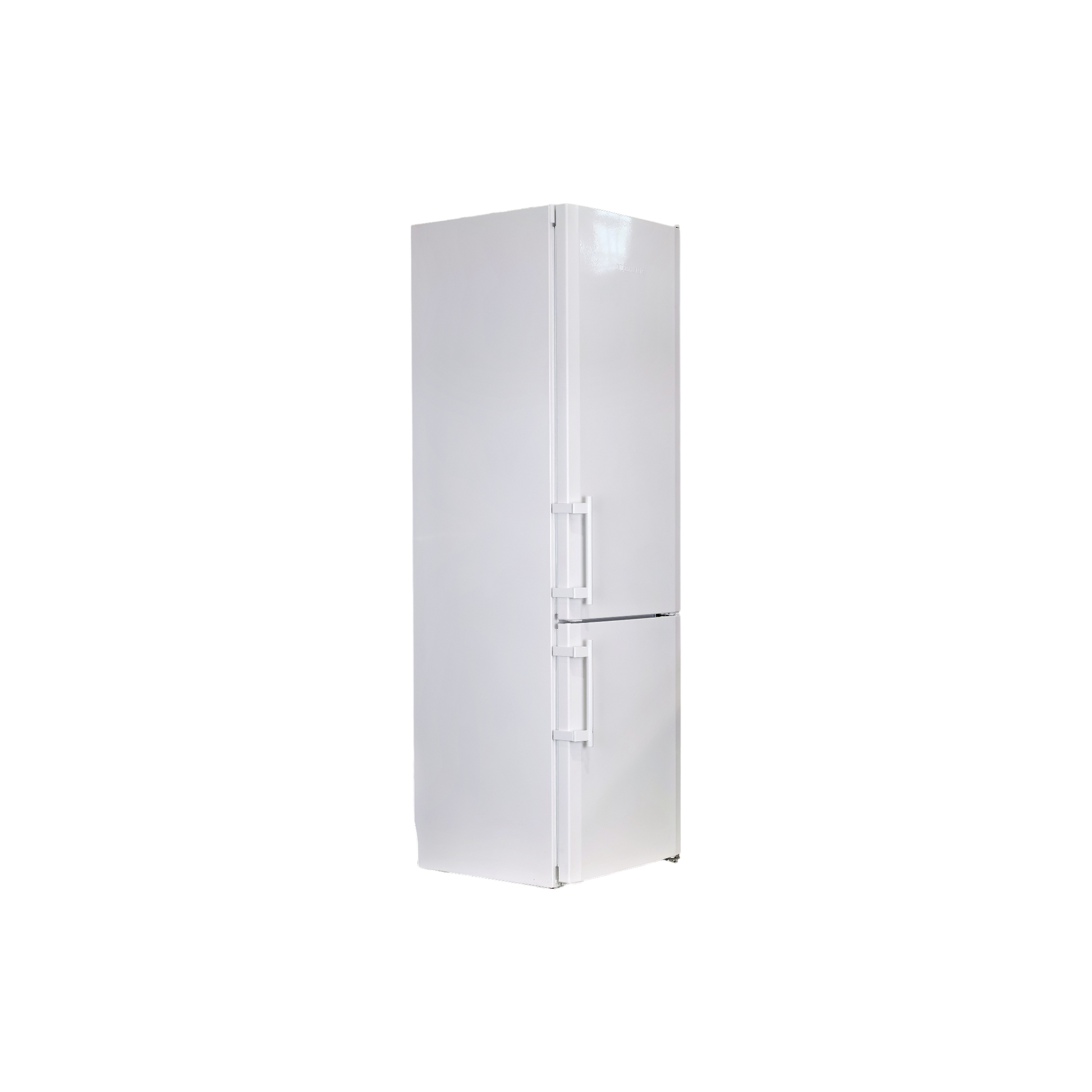 Réfrigérateur Avec Congélateur 246 L Reconditionné LIEBHERR CBN 3913-21